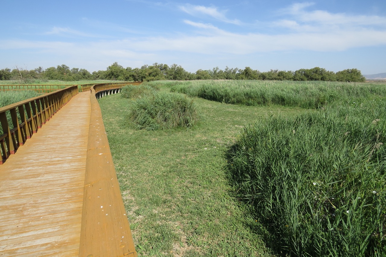 LAS TABLAS DE DAIMIEL JULIO 2022