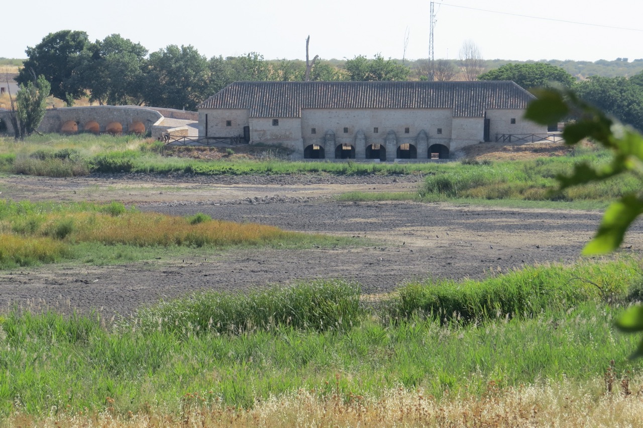 LAS TABLAS DE DAIMIEL JULIO 2022